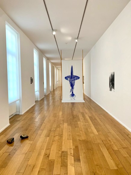 Rossella Biscotti, Amorphophallus (Blue/Green), 2019, Installation view at Mus&eacute;e de Rochechouart, France, 2020