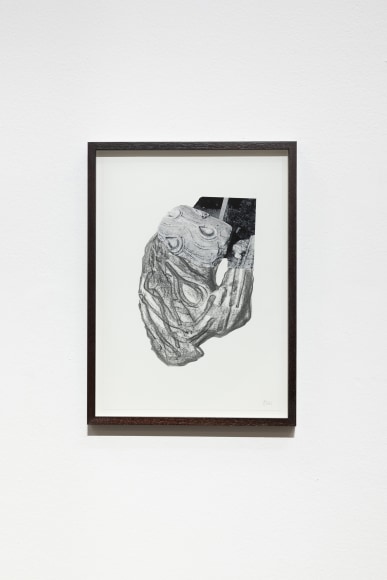 Hera B&uuml;y&uuml;ktaşciyan, Soma Vol I, 2022, Graphite drawing and collage with archival print on paper, 42 x 29.5 cm