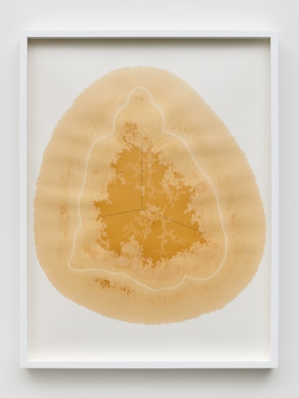 Yazid Oulab, Les Orants Habit&eacute;s Par Leur Espace No.IV, 1998, Plant oil and graphite Bristol paper, 58 x 44 cm