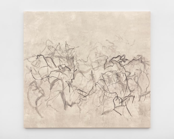 Beatrice Caracciolo Fiori di Soffio, 2016, pigment, water soluble chalk, graphite, gouache on paper, mounted on canvas, 58 3/4 x 63 3/4 x 1 1/4 in. (149.2 x 161.9 x 3.2 cm) signed and dated verso &quot;Beatrice Caracciolo 2016&quot;