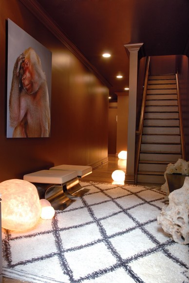 New York City Townhouse View