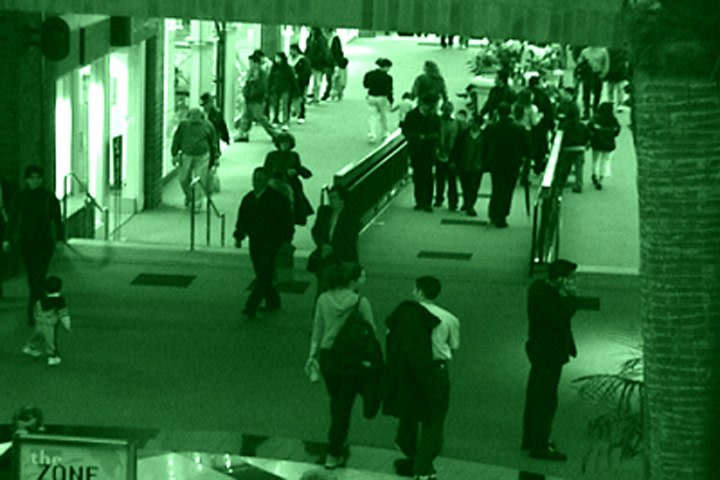 In the Shadow of Summer Bliss, Still 4