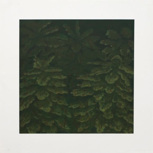 Joan Nelson Untitled, 1990 Lithograph