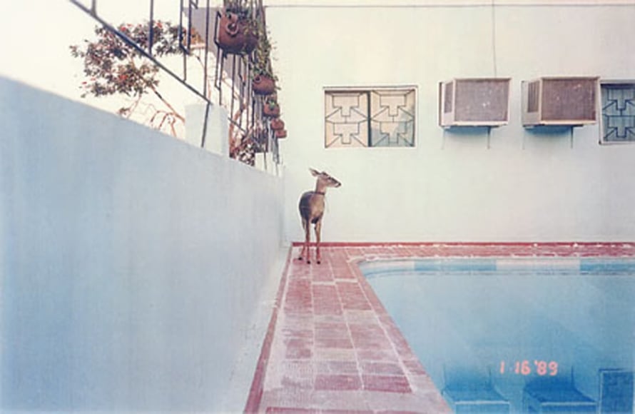 l*AND*sc*APE, Piece 2