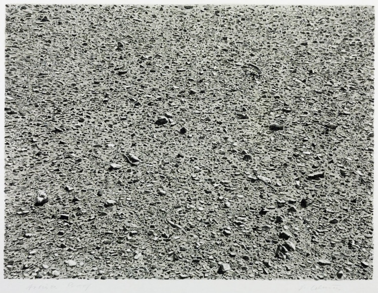 Vija Celmins, Print 1