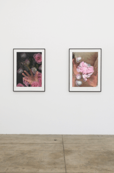 Impermanence installation view 4