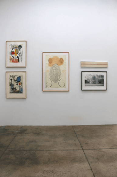 Unique and Singular Installation View 4