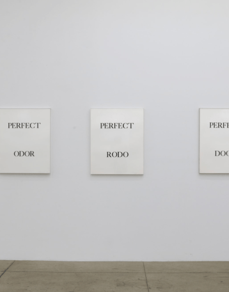 Bruce Nauman, Installation view 3