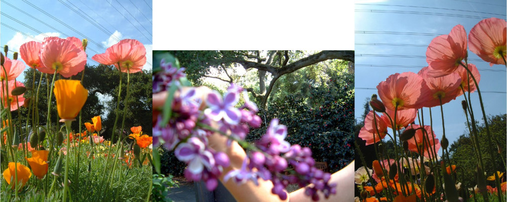 The Picture I Carry In My Head, Piece 8