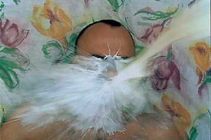 In the Shadow of Summer Bliss, Still 11