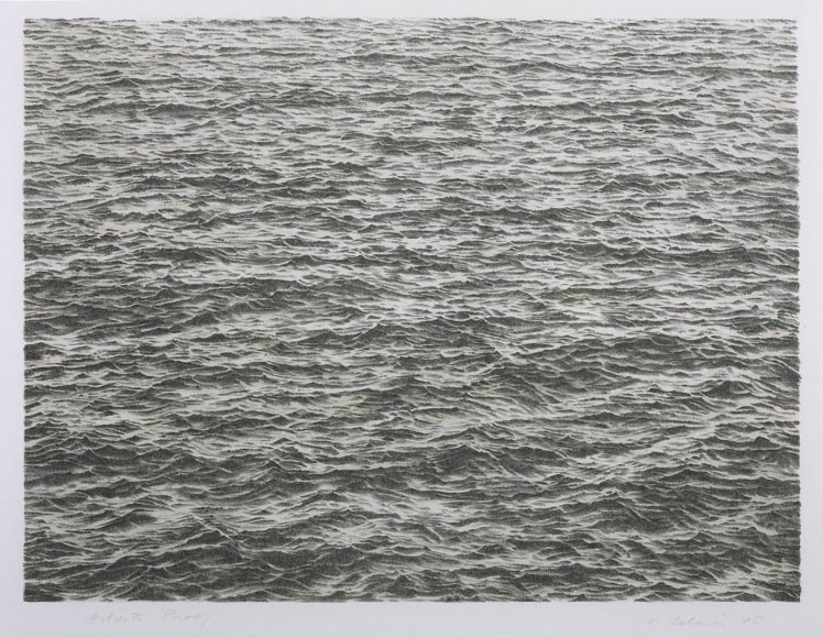 Vija Celmins, Print 4