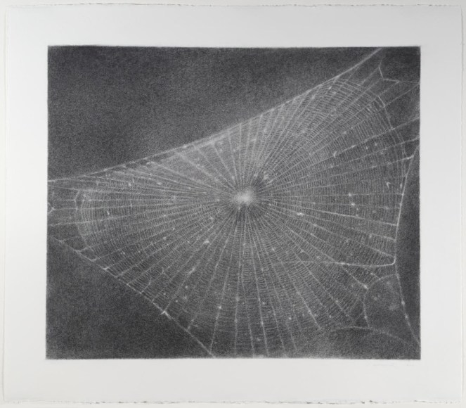 Vija Celmins, Print 2