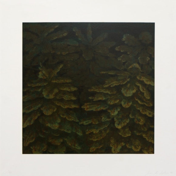 Joan Nelson Untitled, 1990 Lithograph, silkscreen varnish