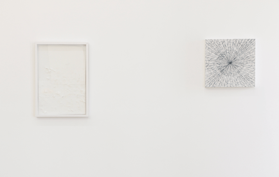 Alternate Habitats Installation View 5