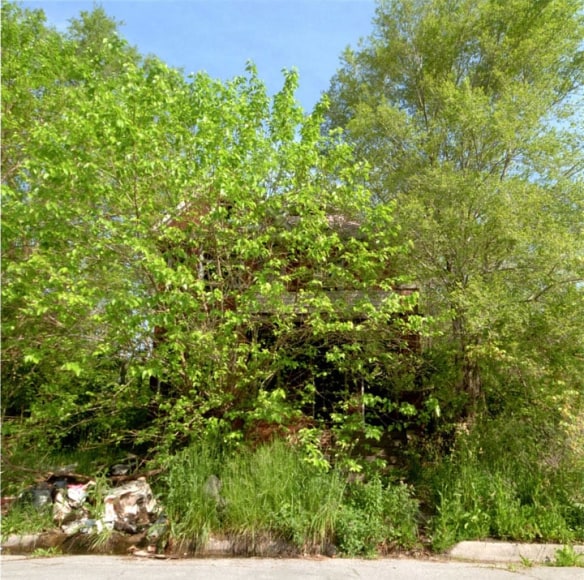 James Griffioen and Dennis Oppenheim