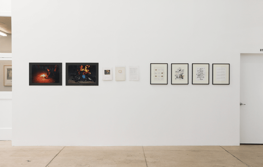 Alternate Habitats Installation View 4