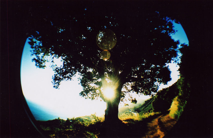 The Picture I Carry In My Head, Piece 10