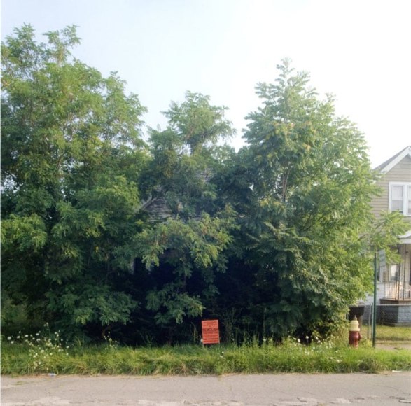 James Griffioen &amp; Dennis Oppenheim 7