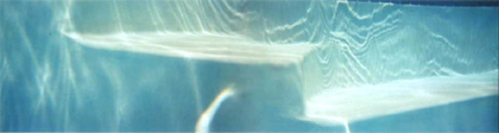 l*AND*sc*APE, Piece 5