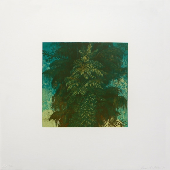 Joan Nelson Untitled, 1990 Lithograph, silkscreen varnish