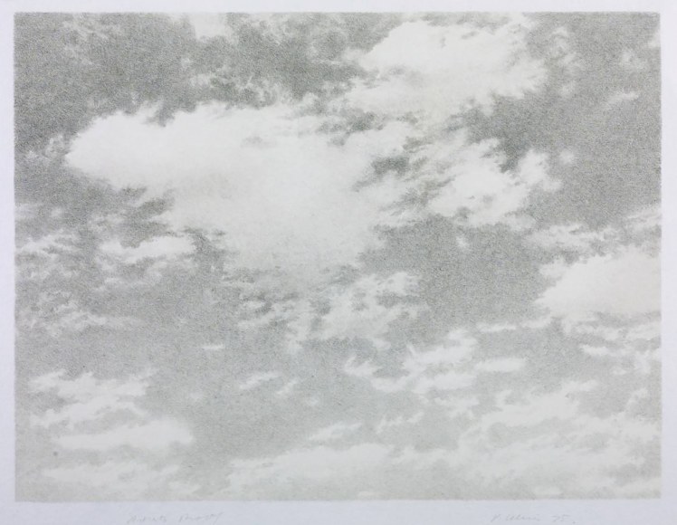 Vija Celmins, Print 3