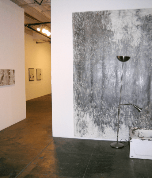 Fine Line, Installation View 2