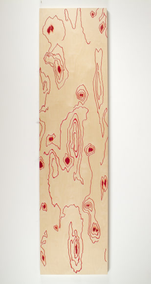 Crazy Thoughts Have Quick Wings:  Silvia Plath &amp; Ted Hughes, A Reimagining, Piece 9