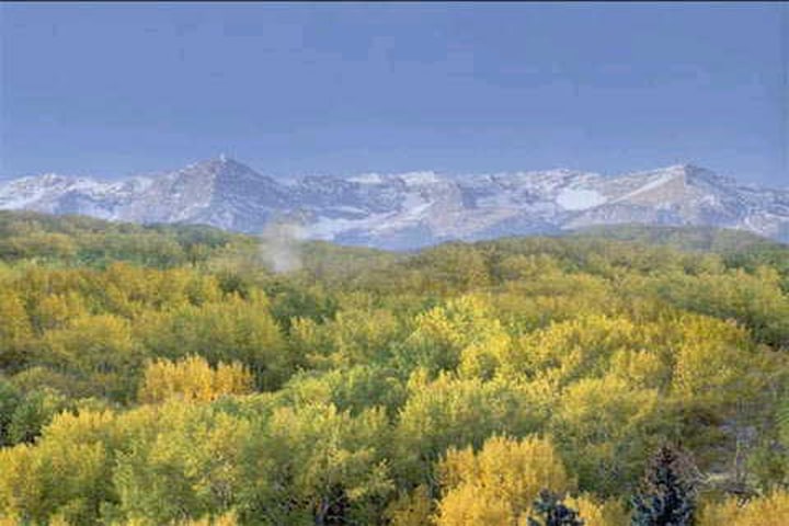 In the Shadow of Summer Bliss, Still 6