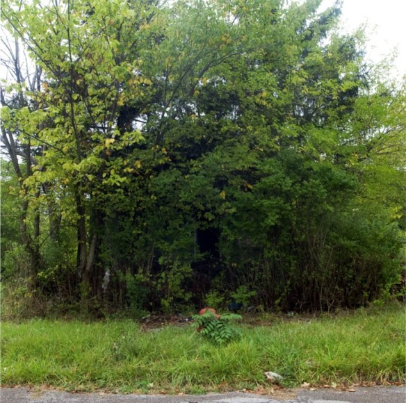 James Griffioen &amp; Dennis Oppenheim 20