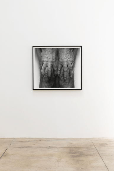 Impermanence installation view 2