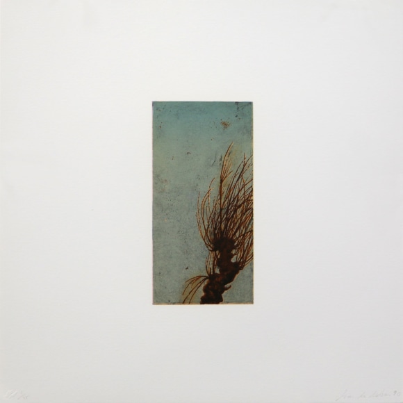 Joan Nelson Untitled, 1990 Lithograph, silkscreen varnish