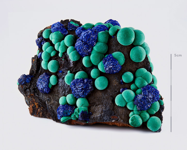 Fine Mineral Photograph of Azurite and Malachite for Wilensky Exquisite Minerals