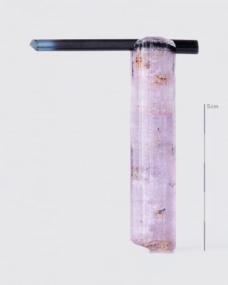 Fine mineral photograph of Fluorapatite with tourmaline from Wilensky Exquisite Minerals.