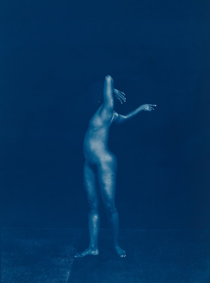 ELIZABETH HEYERT METAMORPHOSIS
