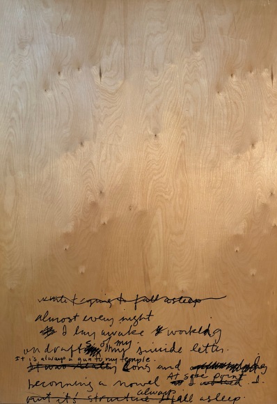 LES ROGERS  Almost Every Night, 1995  Enamel and varnish on birch plywood  69h x 48w x 1/2d in