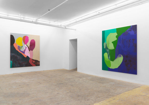 Installation view