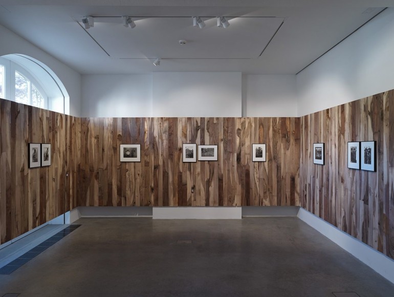 danh&nbsp;vo, photgraphs of dr. joseph m. carrier 1962-1973 , south london gallery, london, 2019&nbsp;photo: nick ash, &nbsp;