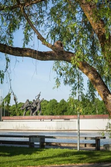 adrian villar rojas, installation view of&nbsp;in riboca, riga biennial, riga, 2018