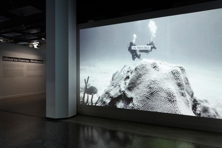 minerva cuevas, vista de instalaci&oacute;n de&nbsp;disidencia, mishkin gallery, nueva york, 2019&nbsp;foto:&nbsp;isabel asha penzlien