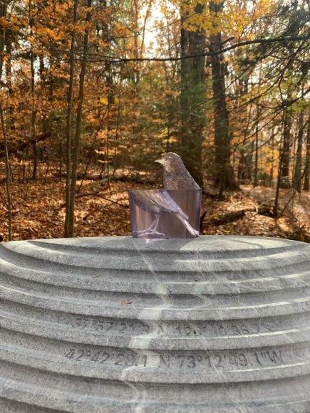 haegue yang, migratory dmz birds on asymmetric lens, the clark institute, williamstown, 2020