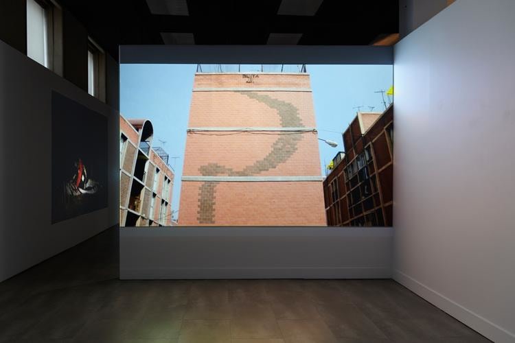 minerva cuevas, vista de instalaci&oacute;n de&nbsp;disidencia, mishkin gallery, nueva york, 2019&nbsp;foto:&nbsp;isabel asha penzlien