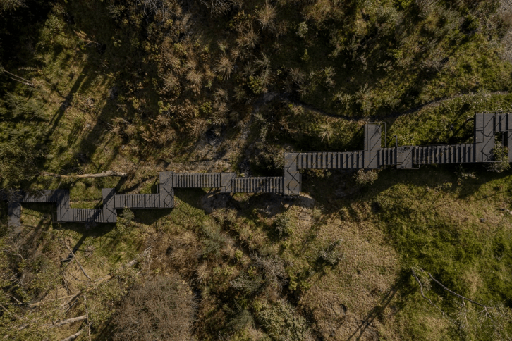 snakes and ladders circuit. chapultepec: nature and culture