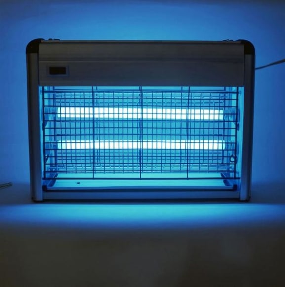 fernando ortega, sin t&iacute;tulo, 2003