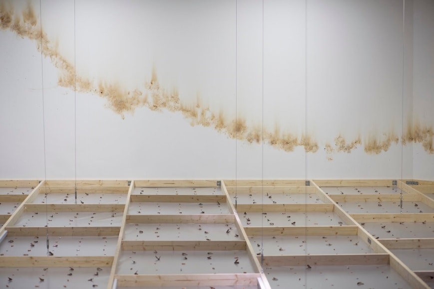 gabril kuri, vista de instalaci&oacute;n de&nbsp;spending static to save gas, douglas hyde gallery, dubl&iacute;n, 2020. foto: louis haugh&nbsp;