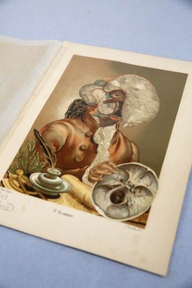 dr. lakra, sin t&iacute;tulo (descartes), tinta, pigmentos y collage sobre litograf&iacute;a del siglo XIX, 2013-2014, &nbsp;