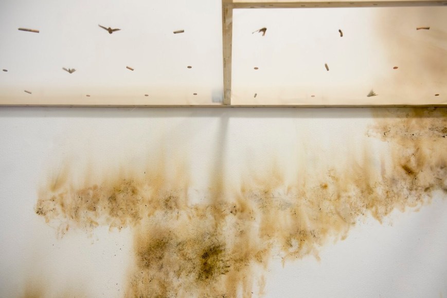 gabril kuri, vista de instalaci&oacute;n de spending static to save gas, douglas hyde gallery, dubl&iacute;n, 2020. foto: louis haugh&nbsp;