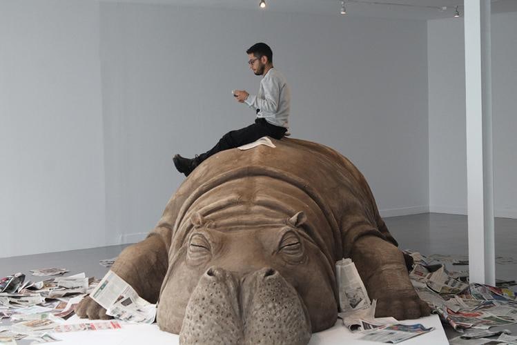  allora &amp;amp; calzadilla, hope hippo, museo de arte carrillo gil, mexico city, 2018