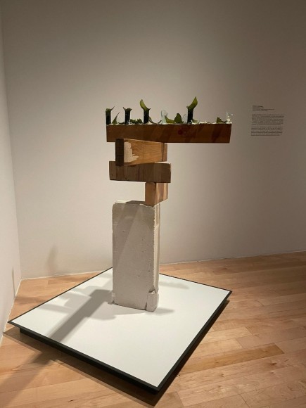 abraham cruzvillegas, museo amparo de puebla, 2021