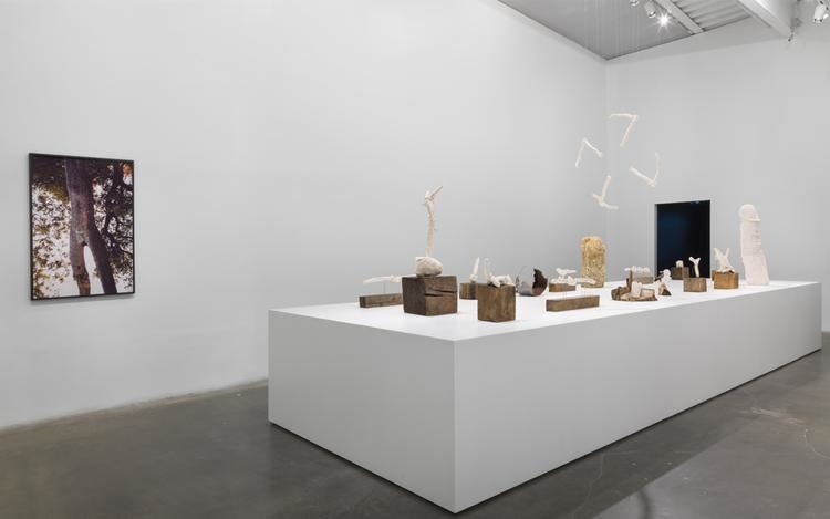  sarah lucas, installation view&nbsp;&nbsp;au naturel, new museum, new york, 2018