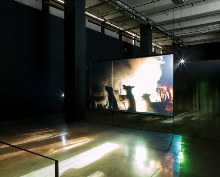 apichatpong weerasethakul,&nbsp;the serenity of madness, n&uacute;cleo de arte da oliva, portugal, 2018